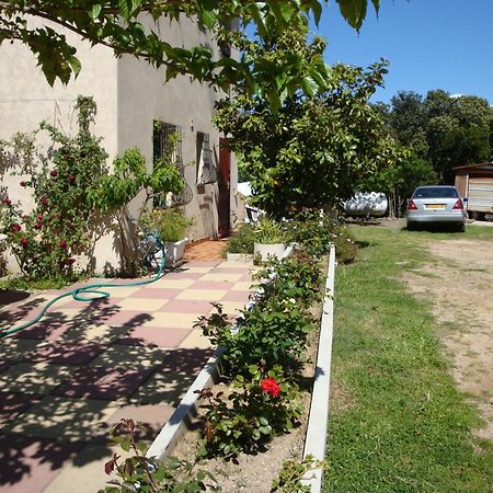 Sole E Mare Otel Galeria  Dış mekan fotoğraf
